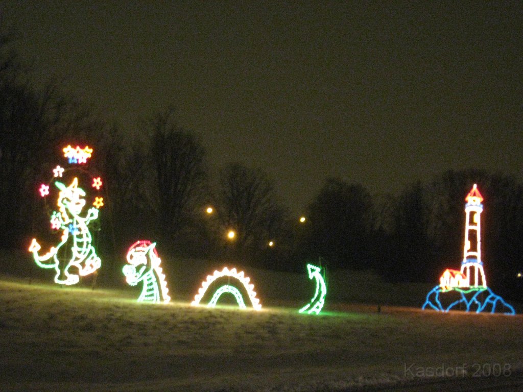 Christmas Lights Hines Drive 2008 067.jpg - The 2008 Wayne County Hines Drive Christmas Light Display. 4.5 miles of Christmas Light Displays and lots of animation!